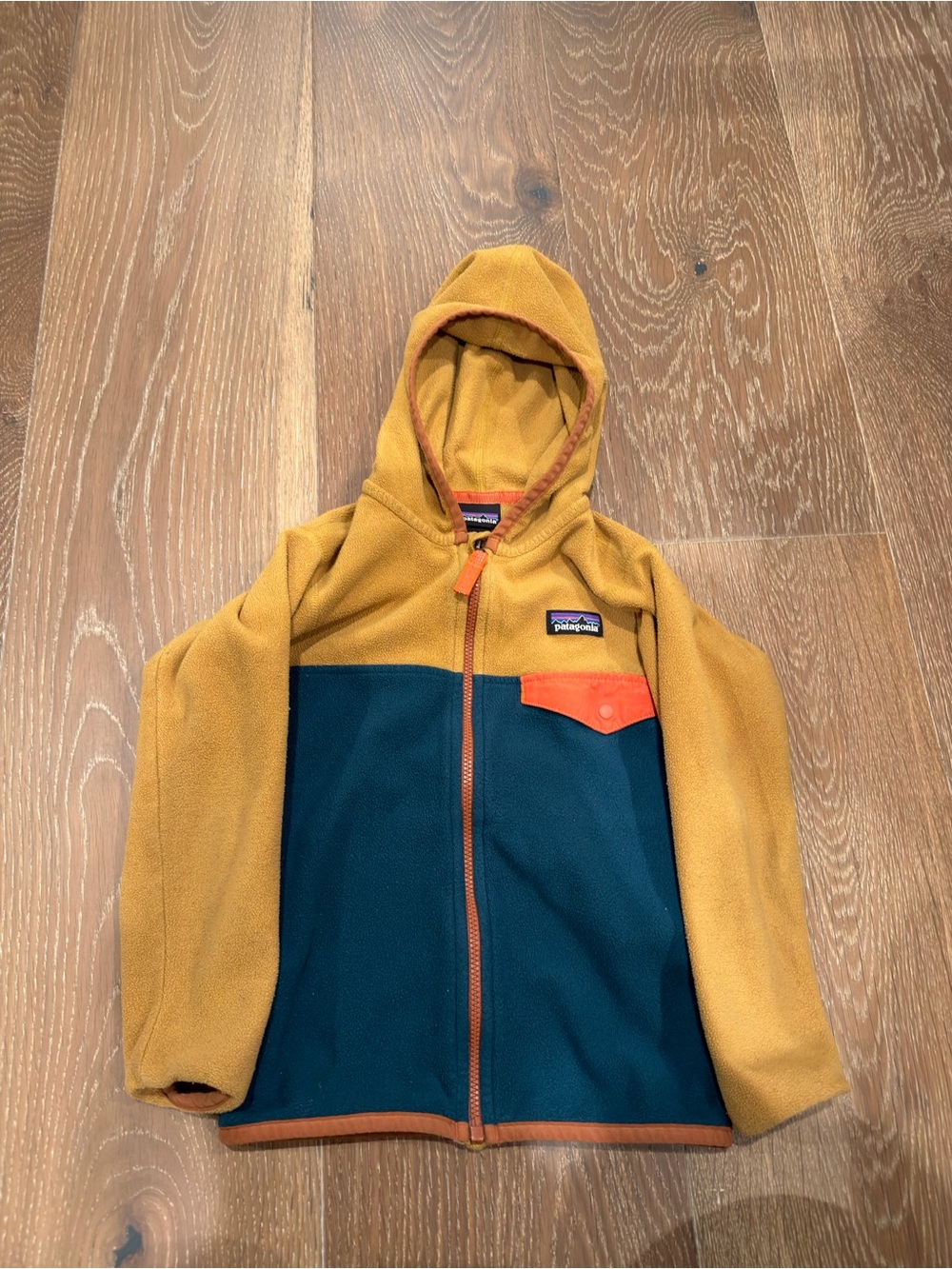 Patagonia Micro D Snap T Fleece Hooded Jacket Gold Teal 4T